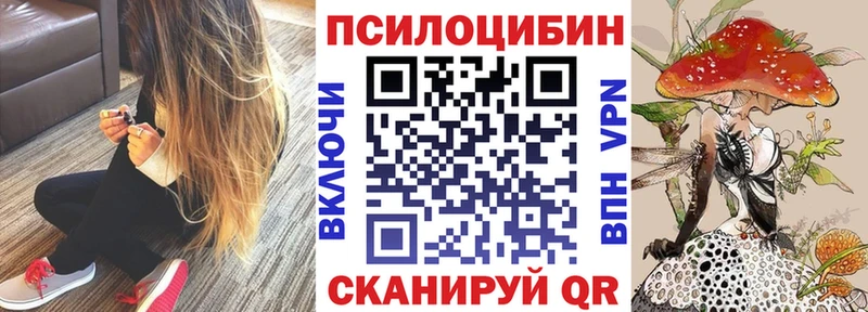 ссылка на мегу рабочий сайт  Орлов  Галлюциногенные грибы Psilocybine cubensis 